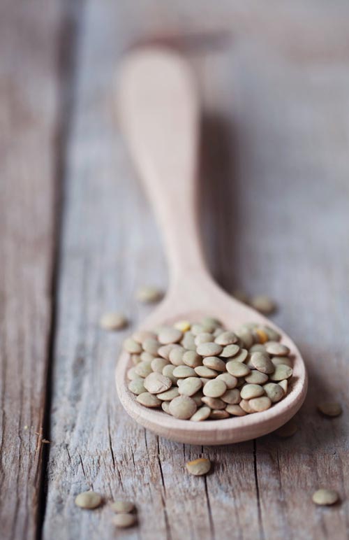 LENTICCHIE