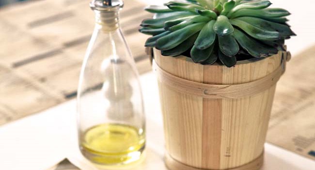 olio