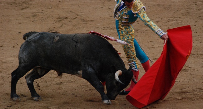 Corrida 2
