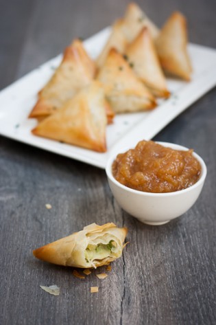 exp_samosa_vert