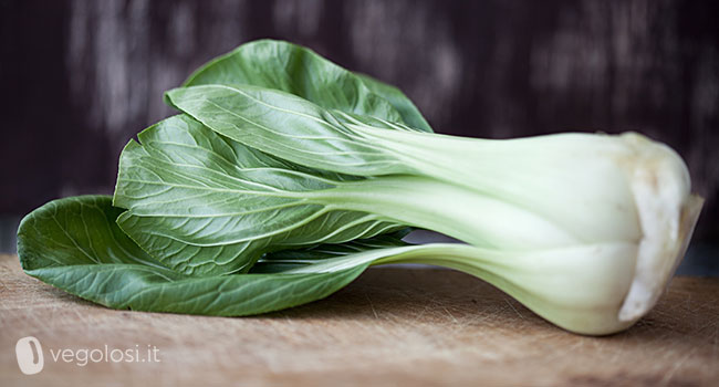 pak-choi_IMG_7685_6501