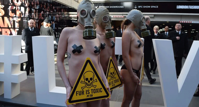 Toxic-Fur