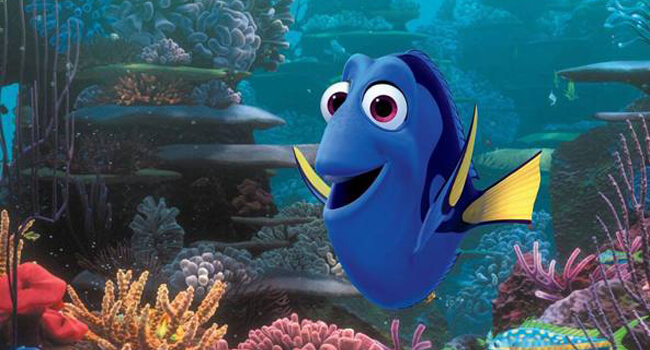 Dory