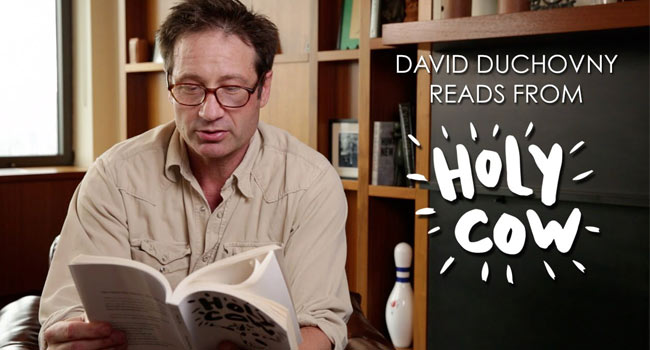 david-duchovny-porca-vacca