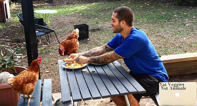 james-aspey-galline