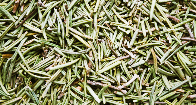 Rosmarino