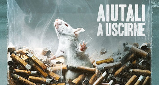 Sperimentazione animale decreto 26