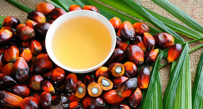 olio di palma fa male