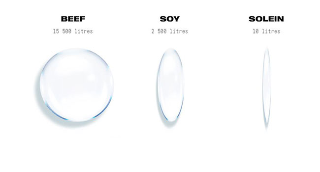 Solein-impatto-idrico