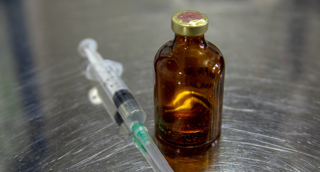 Farmaci umani equivalenti agli animali domestici: legge approvata ma attenzione al fai da te Farmaci umani equivalenti agli animali domestici: legge approvata ma attenzione al fai da te
